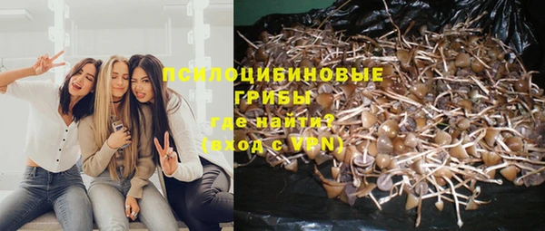 амф Абинск