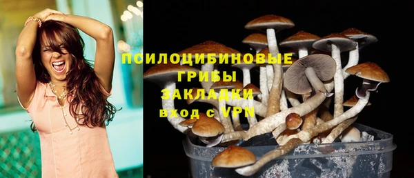 амф Абинск
