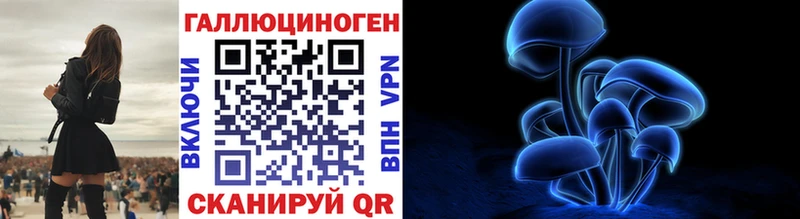 Псилоцибиновые грибы Psilocybine cubensis Азов