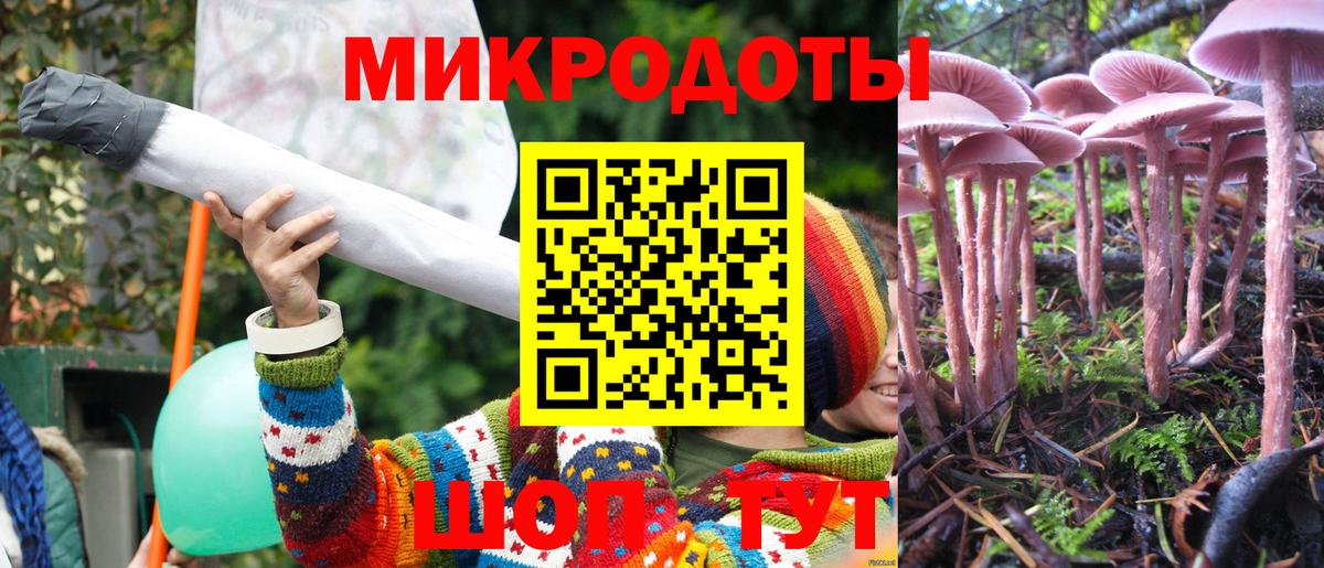 ГАШ Азов