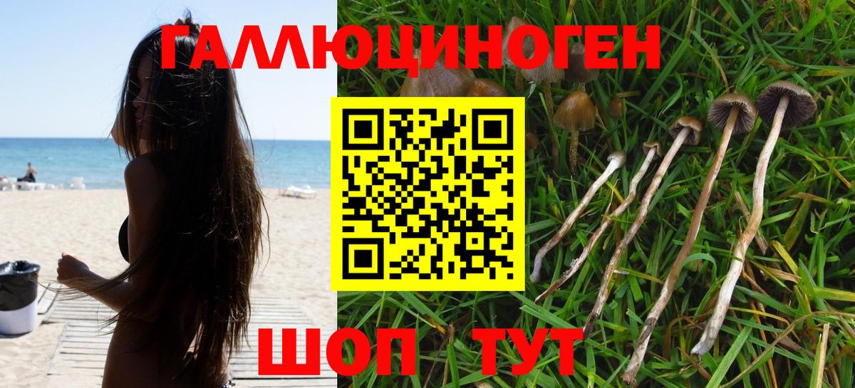 Галлюциногенные грибы GOLDEN TEACHER Азов