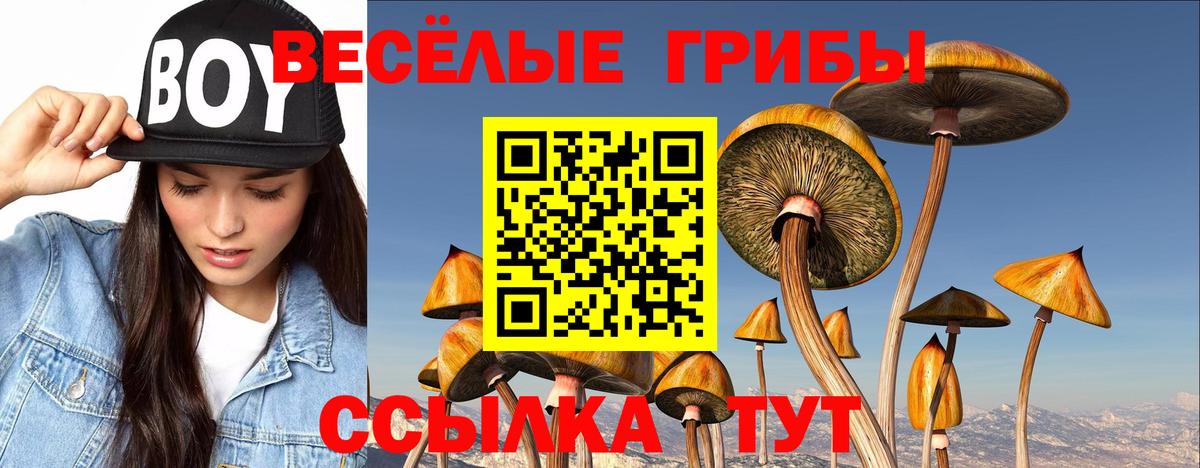 Галлюциногенные грибы Psilocybine cubensis  Вход с VPN  Галлюциногенные грибы MAGIC MUSHROOMS  закладки  Азов 